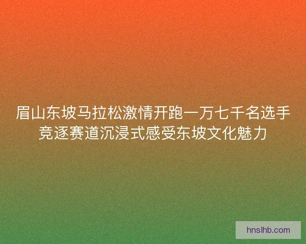 眉山东坡马拉松激情开跑一万七千名选手竞逐赛道沉浸式感受东坡文化魅力